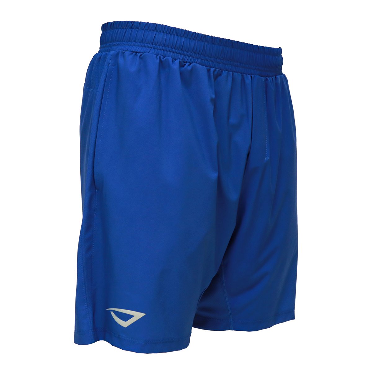 LEGACY TRAINING SHORTS